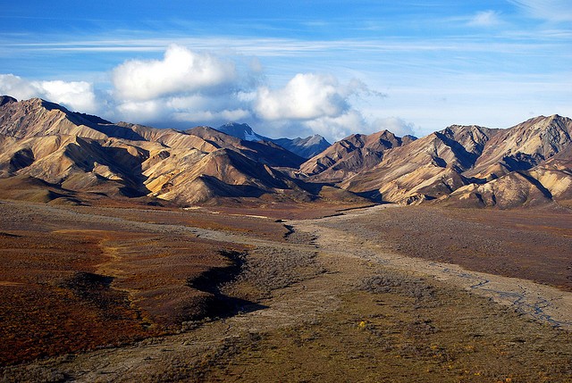 nacionalnyy-park-denali-15