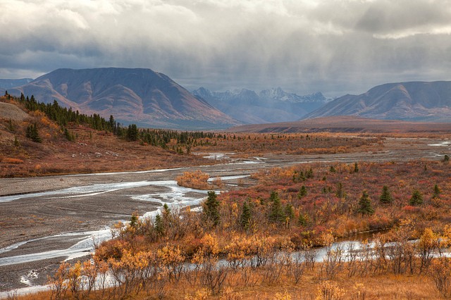 nacionalnyy-park-denali-16