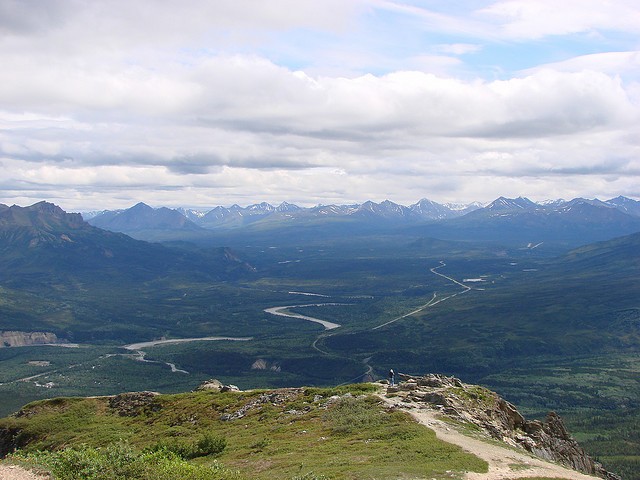 nacionalnyy-park-denali-17