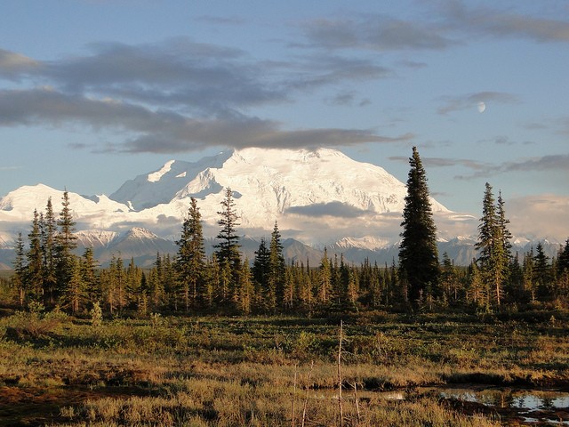 nacionalnyy-park-denali-18