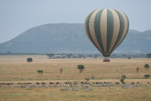 natsionalnyi-park-serengeti-06