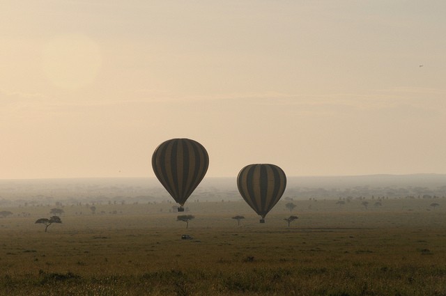 natsionalnyi-park-serengeti-18