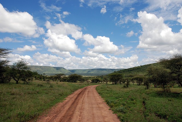 natsionalnyi-park-serengeti-19