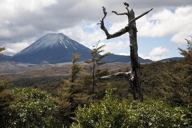 natsionalnyi-park-tongariro-11