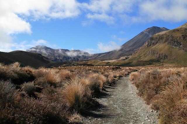 natsionalnyi-park-tongariro-12