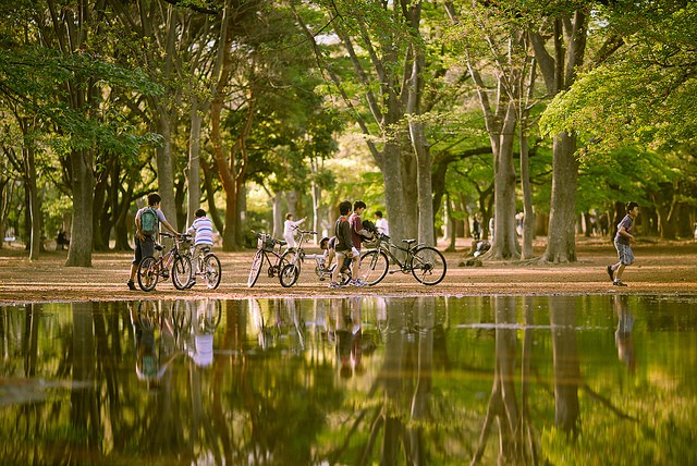 yoyogi-park-02