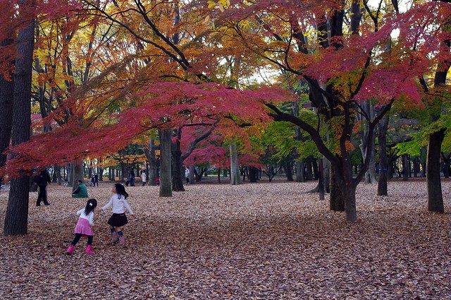 yoyogi-park-07