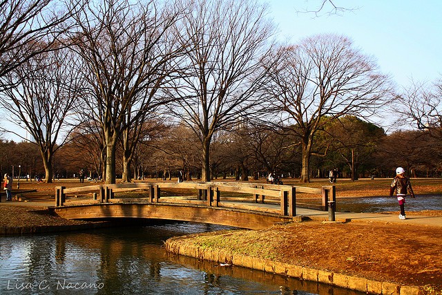 yoyogi-park-08