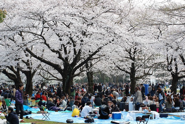 yoyogi-park-12