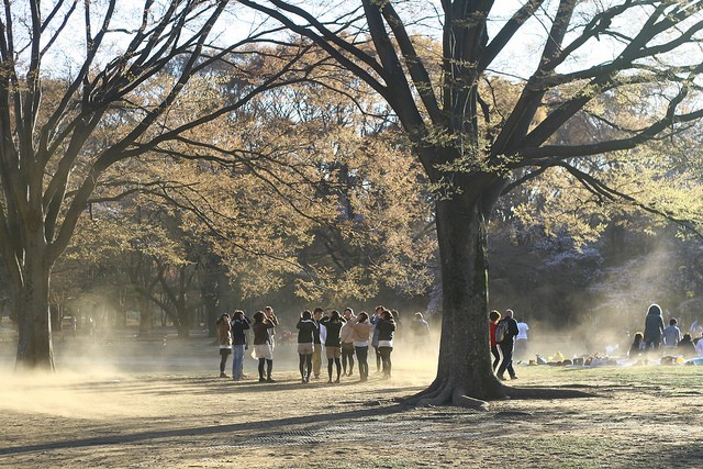 yoyogi-park-16