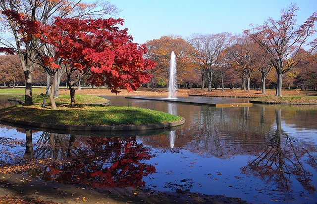 yoyogi-park-17