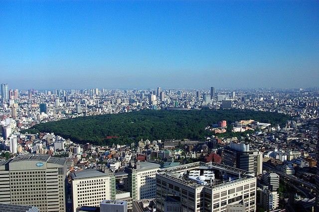 yoyogi-park-20