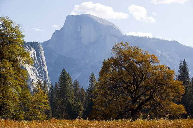 project-yosemite-3