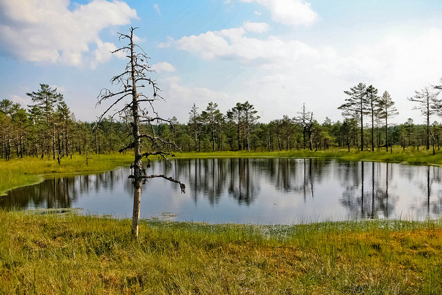 natsionalnyi-park-lahemaa-16