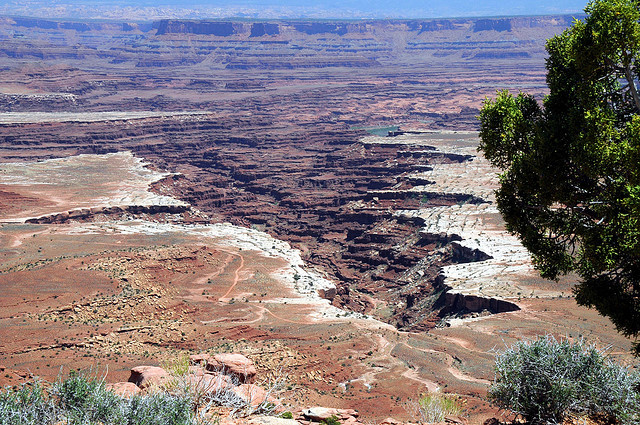 white-rim-road-10