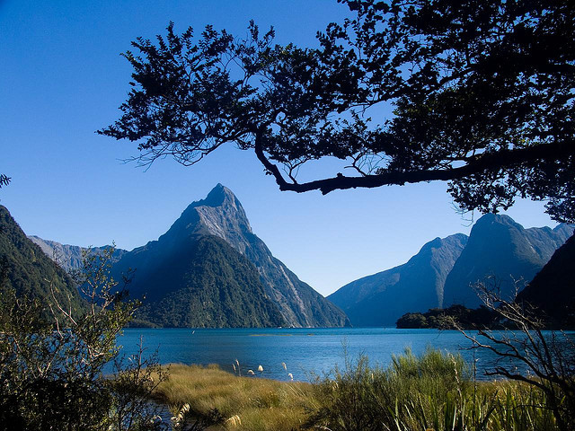 milford-sound-1