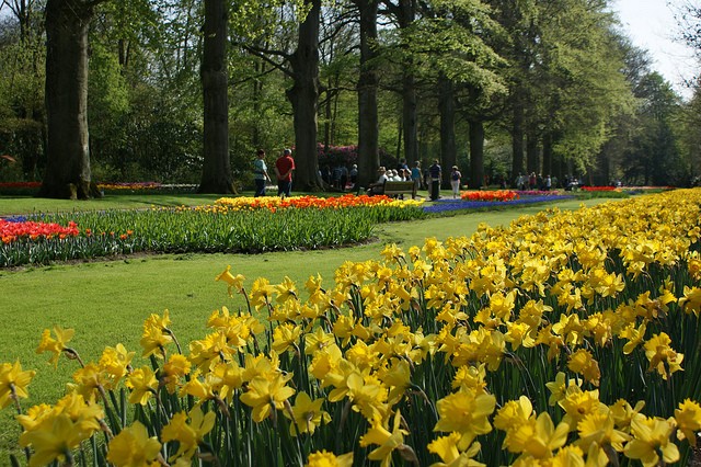 keukenhof-02