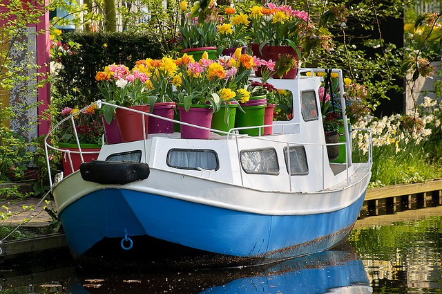 keukenhof-04