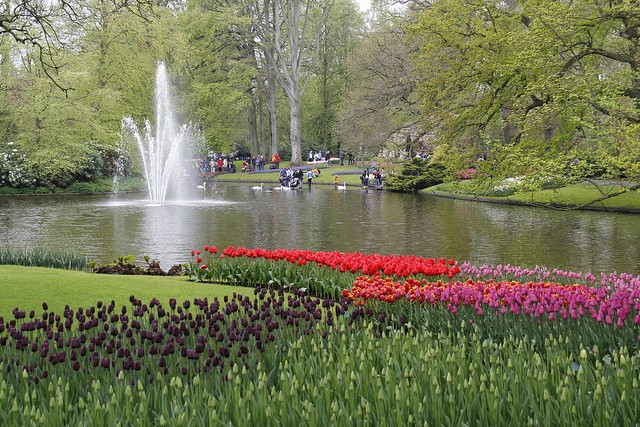 keukenhof-06