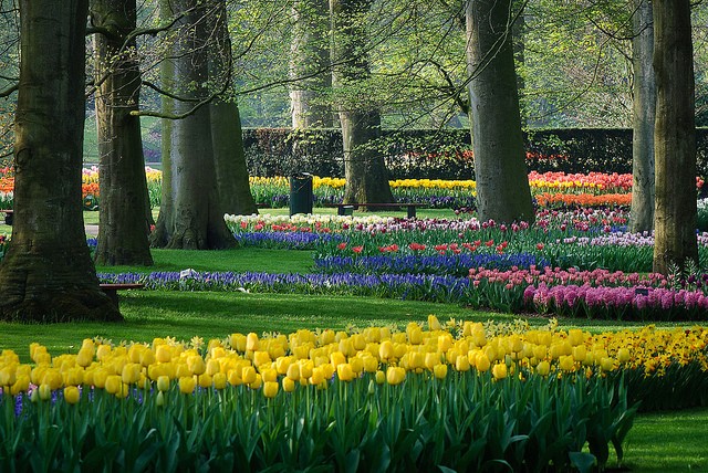 keukenhof-13