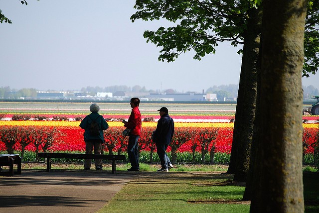 keukenhof-15