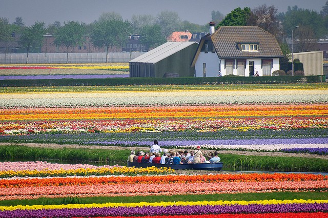 keukenhof-16