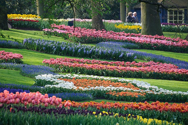 keukenhof-18