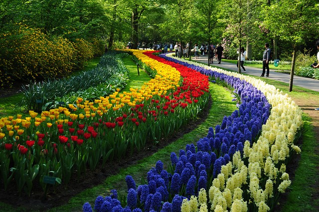 keukenhof-23