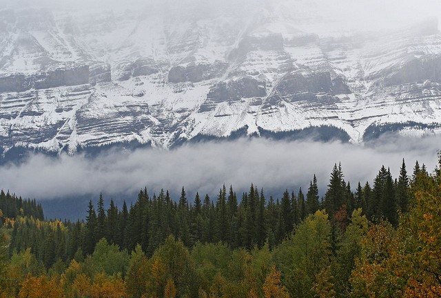 icefields-parkway-04