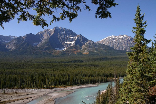 icefields-parkway-06