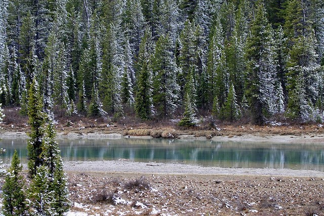 icefields-parkway-08