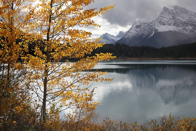 icefields-parkway-11