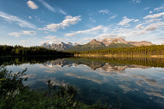 icefields-parkway-12