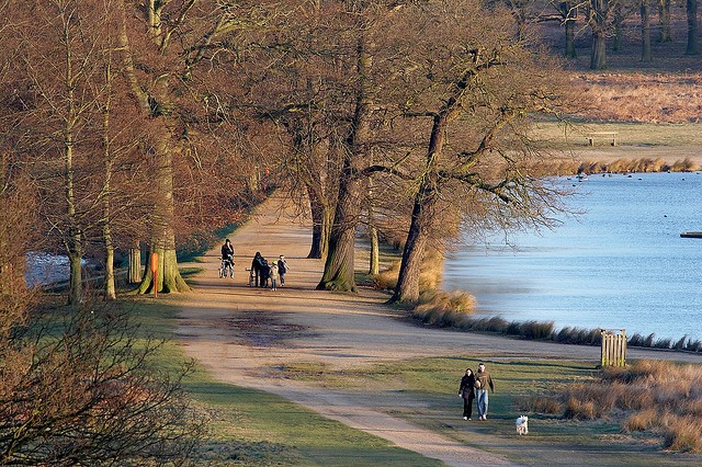 richmond-park-1