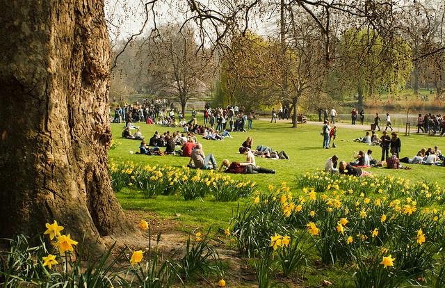 sentdzhejmskij-park-1