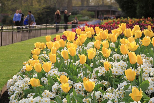 sentdzhejmskij-park-2