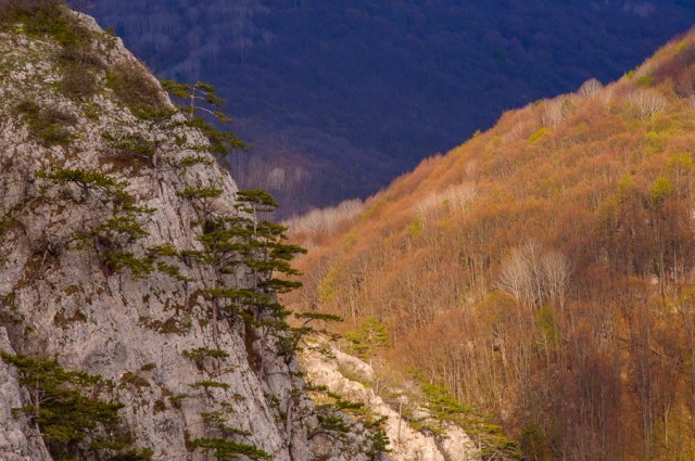 bolshoj-kanon-kryma