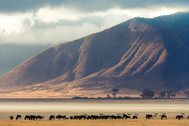 ngorongoro-01