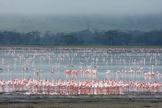 ngorongoro-03