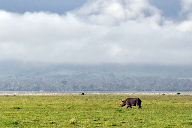 ngorongoro-04