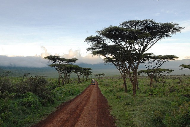 ngorongoro-05