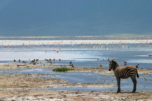 ngorongoro-06