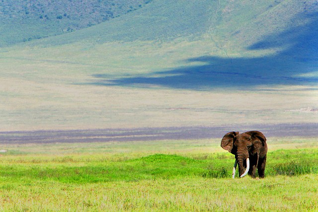 ngorongoro-07