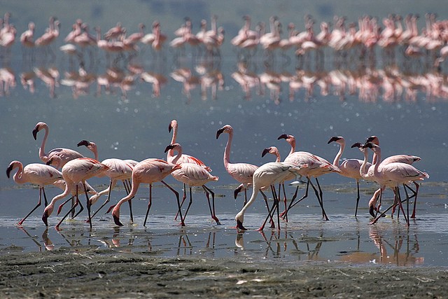 ngorongoro-09