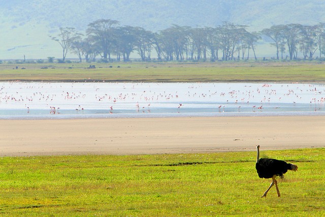 ngorongoro-10