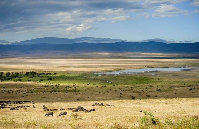 ngorongoro-11