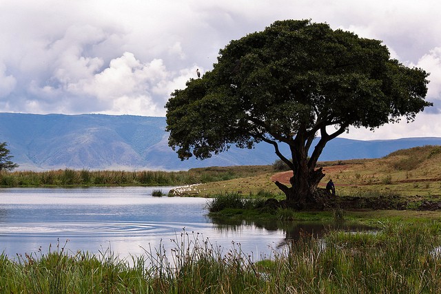 ngorongoro-12