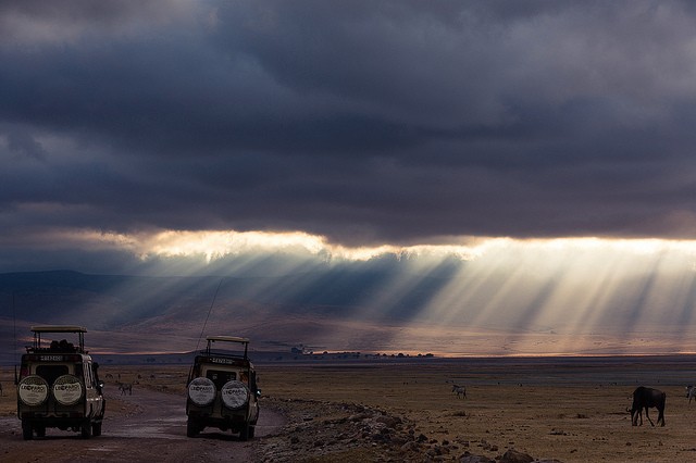 ngorongoro-16