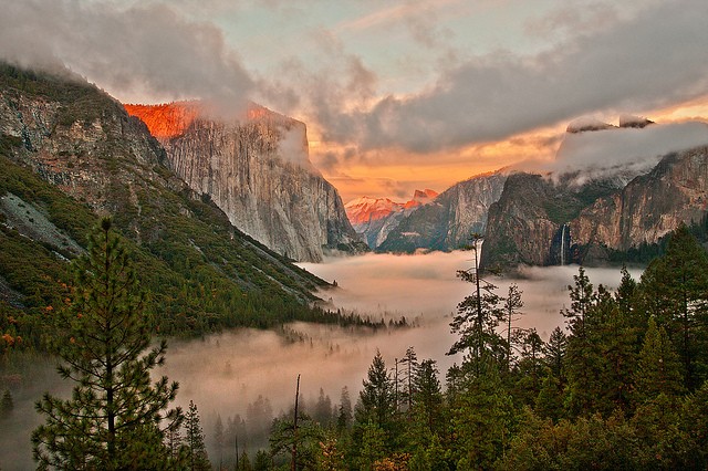 yosemiti-1