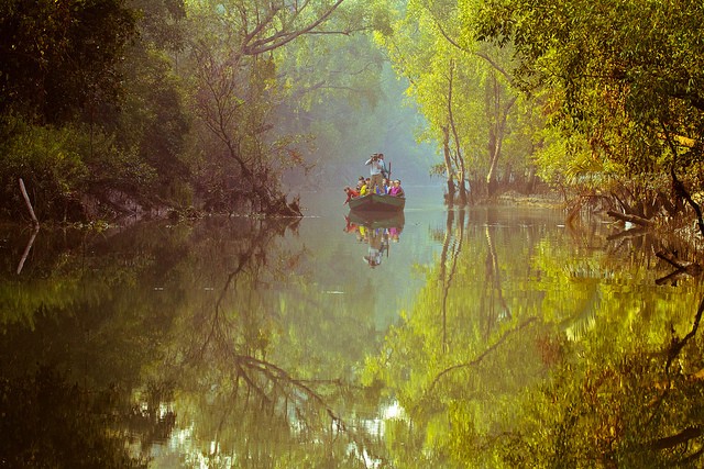 sundarbans